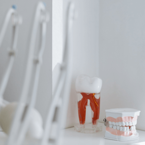 tandarts oral care mondzorg en tandzorg